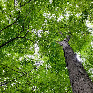 Meet your Posher, Wania